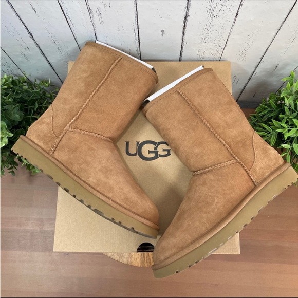 UGG CLASSIC SHORT II (8) NIB Mid-Calf Sheepskin Boots CHESTNUT - Picture 8 of 11